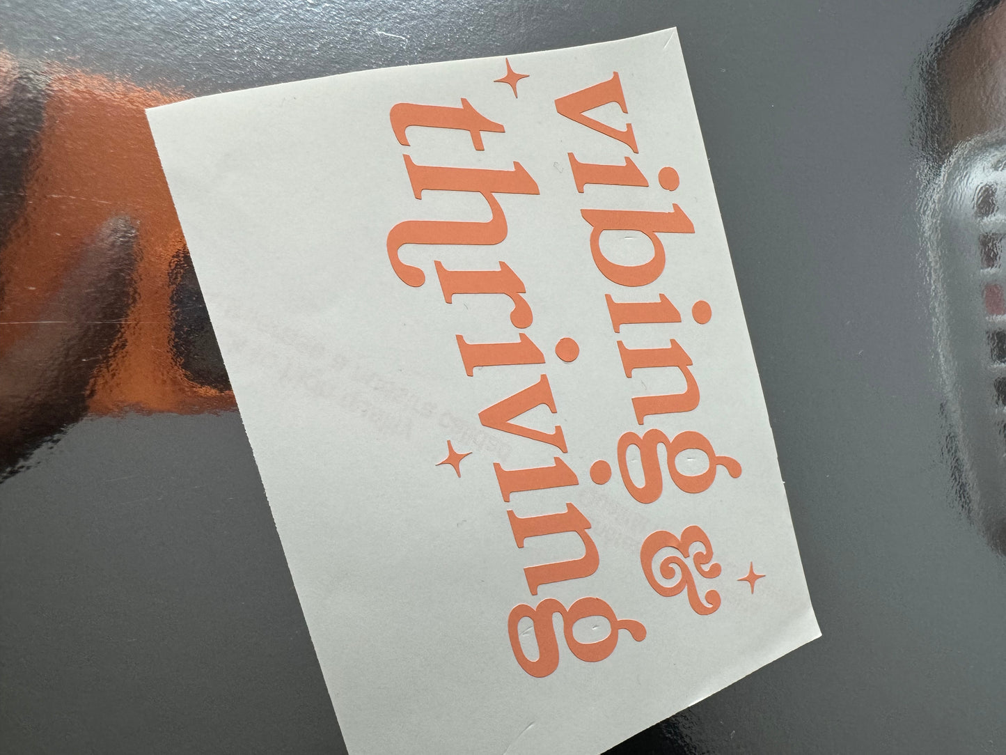 Vibing & Thriving Mirror Decal