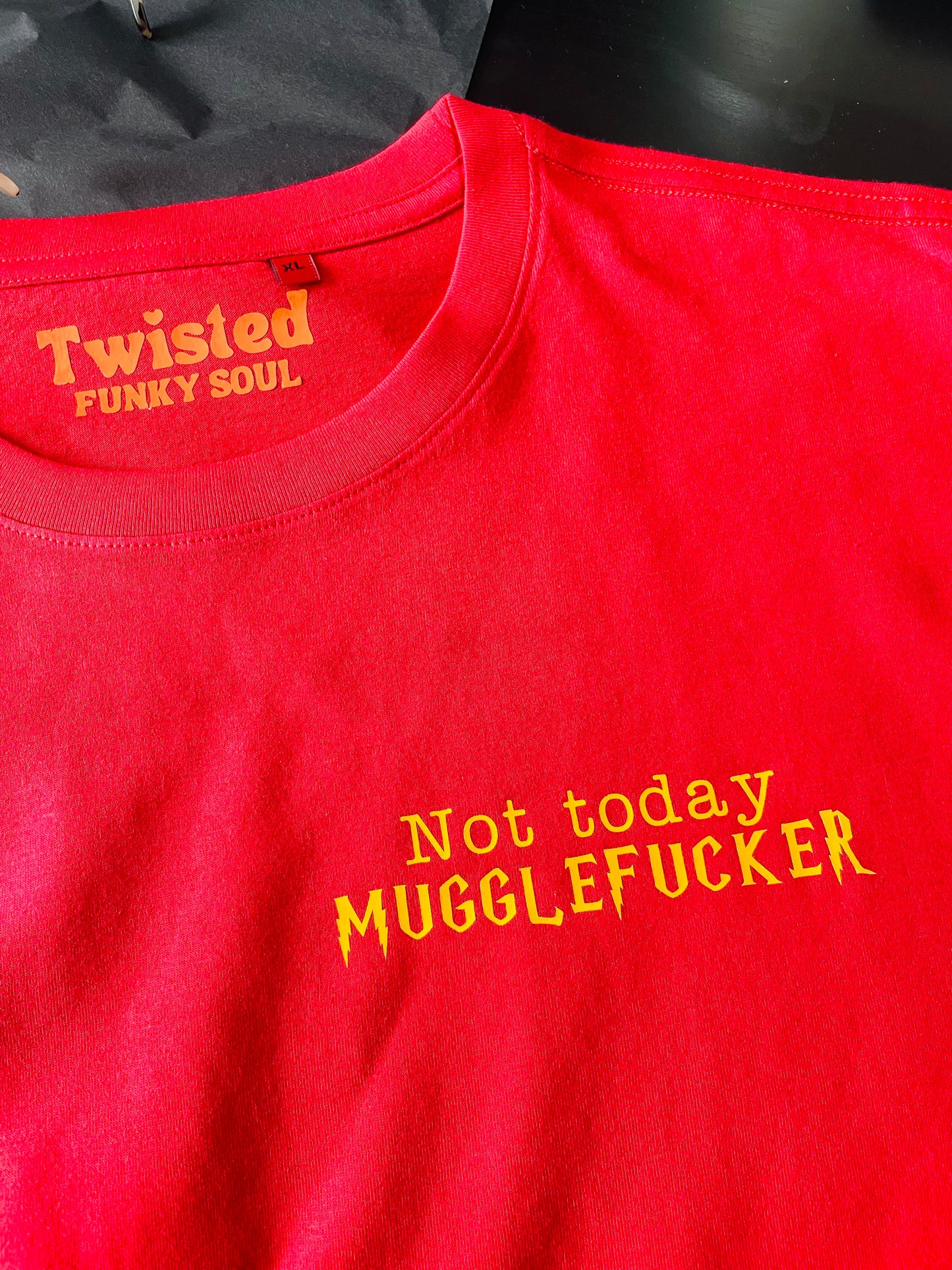 Not Today, Muggle Fucker : Sweary Slogan T-shirt