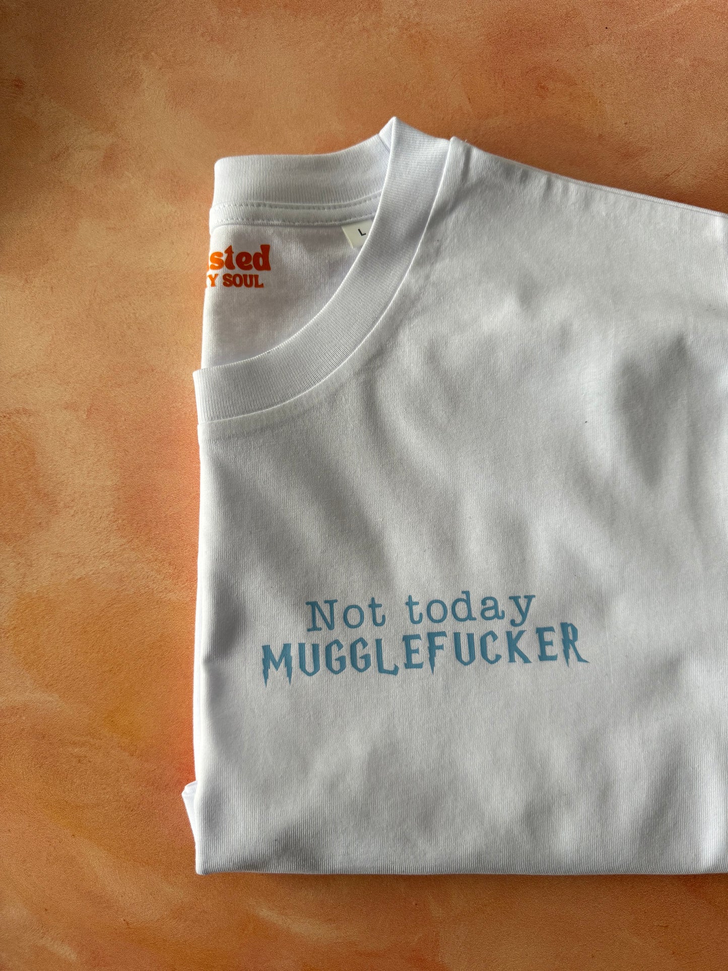 Not Today, Muggle Fucker : Sweary Slogan T-shirt