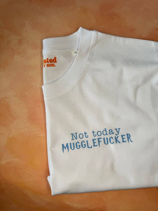 Not Today, Muggle Fucker : Sweary Slogan T-shirt