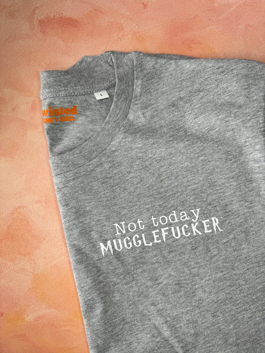 Not Today, Muggle Fucker : Sweary Slogan T-shirt