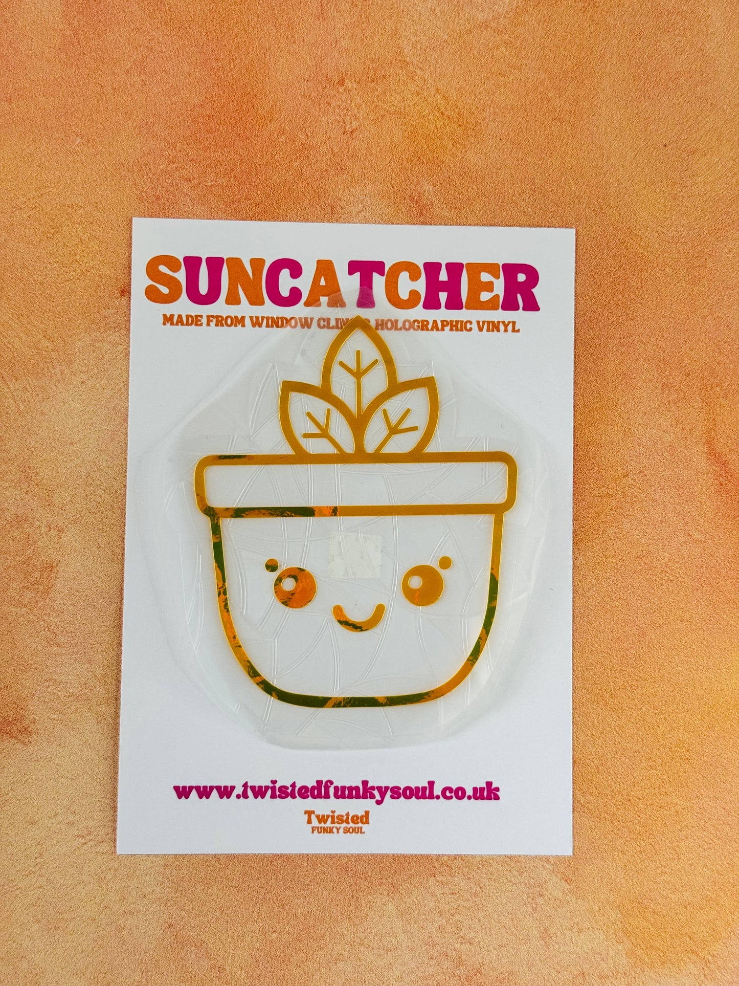 Plant - Rainbow Suncatcher