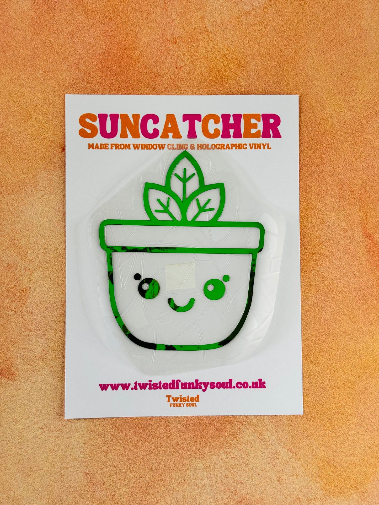 Plant - Rainbow Suncatcher