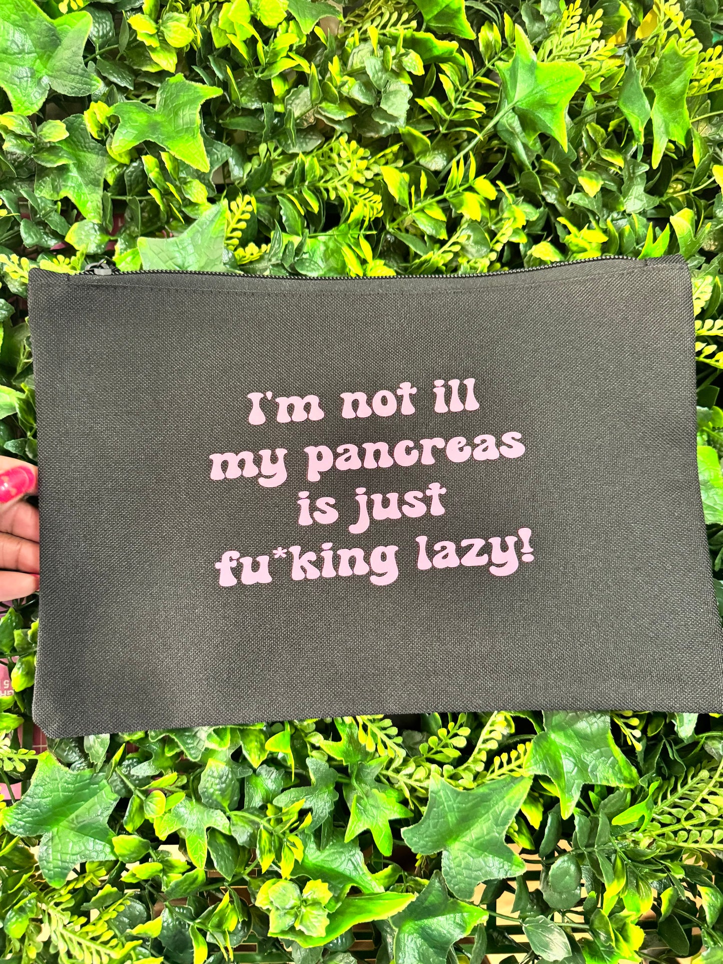I'm Not ill My Pancreas is Just Fu*king Lazy , Diabetes Essentials Pouch